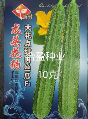 10克金蔬龙头花豹大花点丝瓜种子胜瓜甜味肉丝瓜长条耐热挂果率高