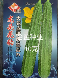 10克金蔬龙头花豹大花点丝瓜种子胜瓜甜味肉丝瓜长条耐热挂果率高