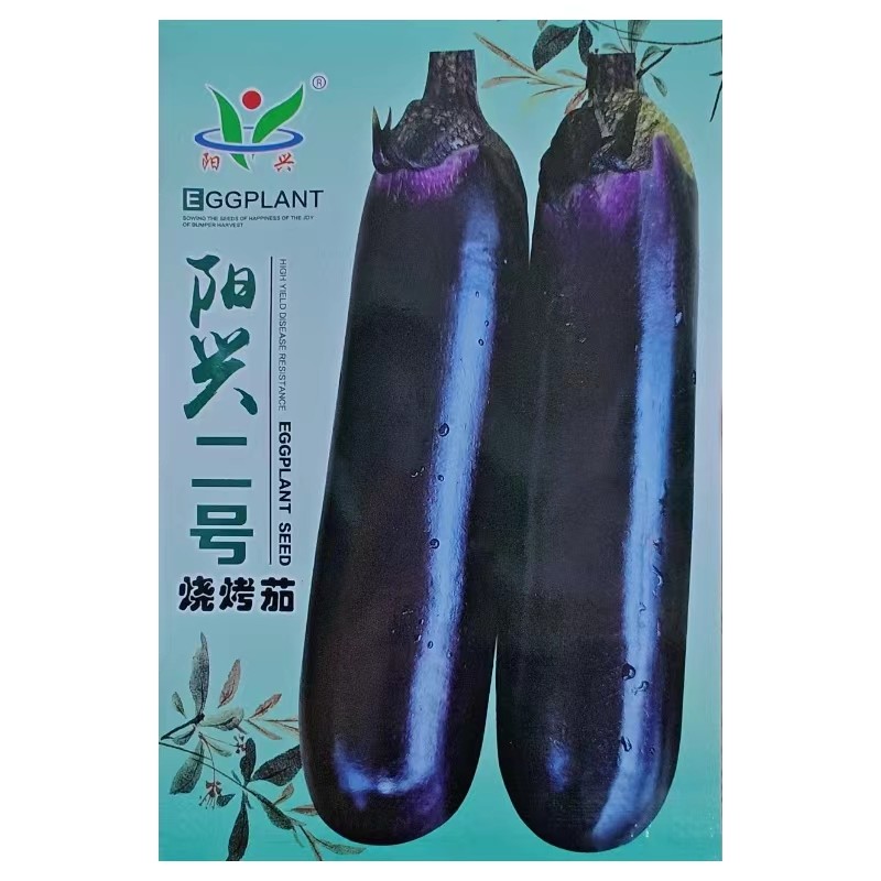 500粒阳兴二号烧烤棒茄种子紫红短胖粗烧烤茄子种子短度