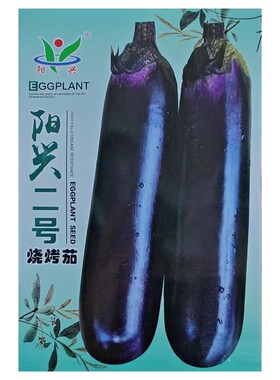 阳兴二号短胖紫红烧烤茄种子