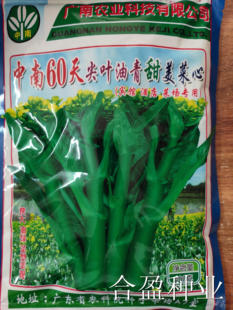 400克中南60天尖叶油青甜菜心种子菜场专用小尖叶菜心种子油绿菜