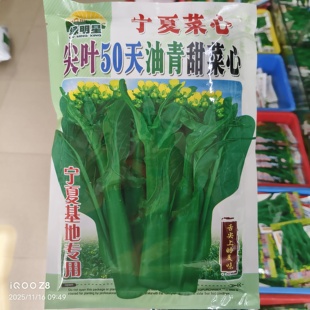 400克亚明绿明星宁夏尖叶50天油青甜菜心种子粗条早熟耐热快长