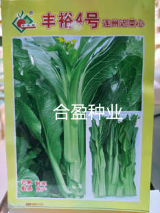 10克丰农裕丰裕4号连州迟菜心种子正宗连州杂交菜心耐寒好吃高产