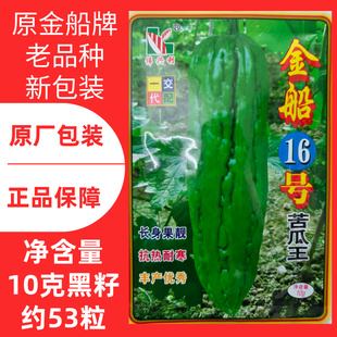 伟兴利十六10克金船16号超级苦瓜王籽油绿长身果靓油青苦瓜种子