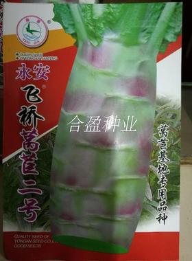 永安飞桥莴笋王香笋飞桥一号二号红莴笋莴苣三明小陶红菜头种子