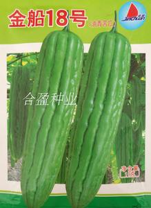 金韩苦瓜10g金船18号超级油绿苦瓜广东油瓜油青苦瓜种子约53粒