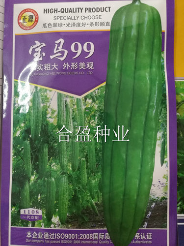 50粒和利农宝马99苦瓜种子杂交黑籽油绿油瓜种子汕头宝马系列苦瓜
