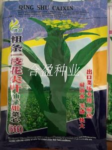 200克一枝花尖叶油绿甜菜心种子油青菜心粗条尖叶菜心种子清蔬