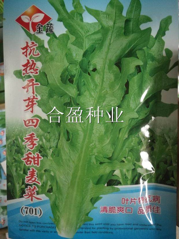 8g金蔬深圳丫开丫开甜油麦菜种子花叶油麦菜种子,鲜花速递/花卉仿真/绿植园艺,仿真果蔬,淘宝优惠券,粉丝福利购,淘宝优惠卷