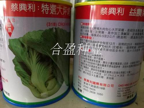 香港蔡兴利益农特选大坪铺大肉包心芥菜种子100g罐装种子 - 封面