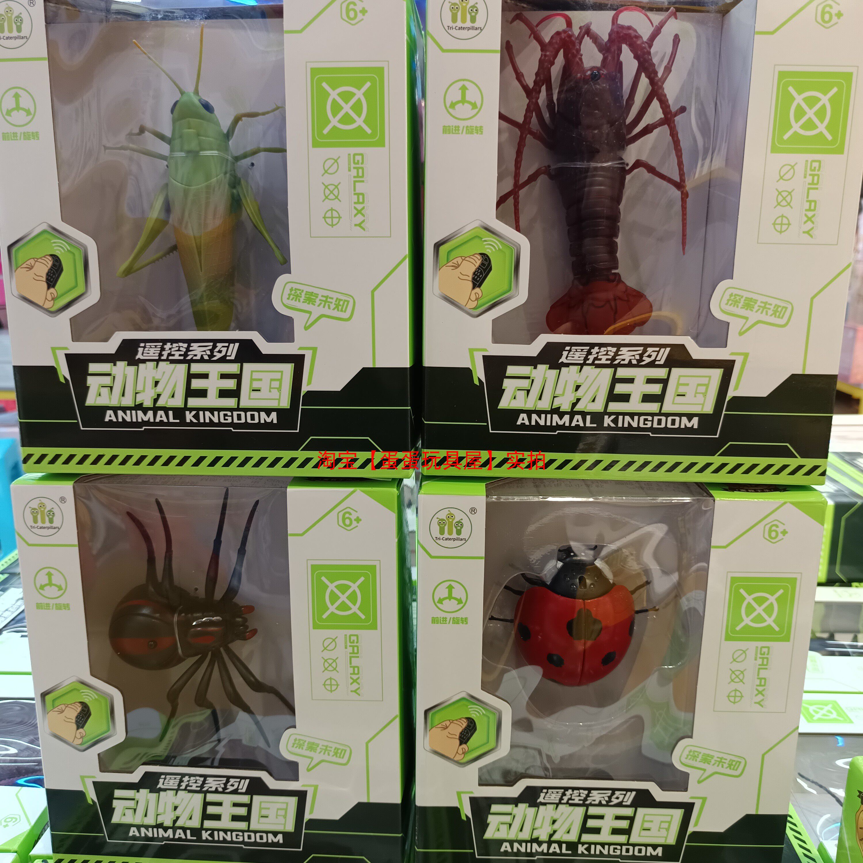 儿童电动遥控昆虫玩具仿真蚂蚱蚂蚱蜘蛛甲虫瓢虫男孩礼物动物王国