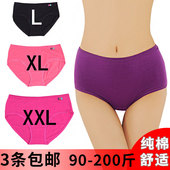 紫红天5070纯棉女士内裤 弹力棉胖mm底裤 中高腰性感加肥大码 三角裤