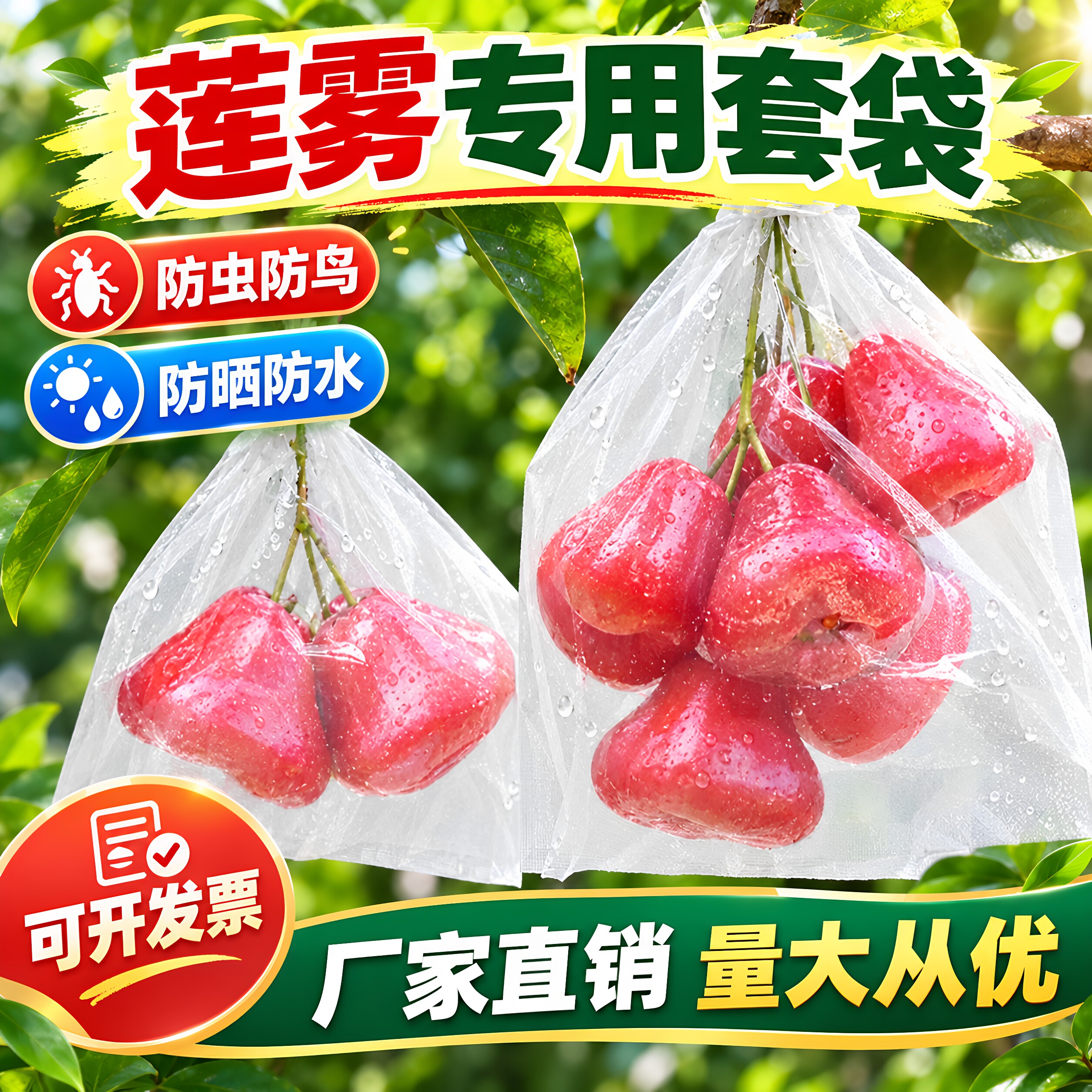 莲雾套袋专用纸袋半透明开窗套袋