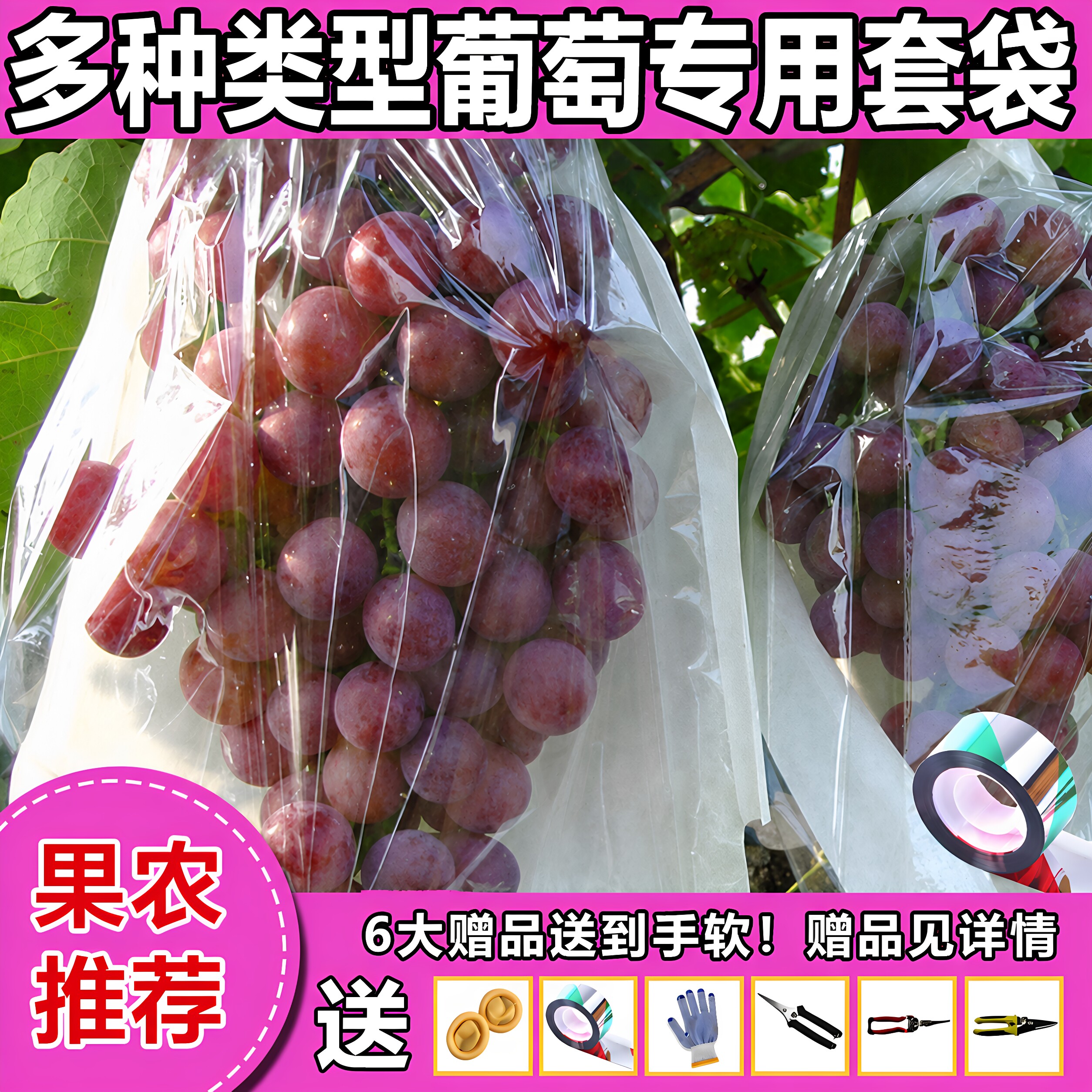 葡萄套袋专用纸袋半透明日光袋