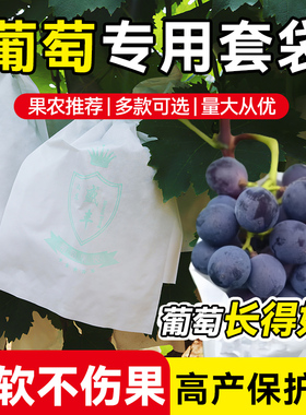 葡萄专用套袋水果袋子半透明莲雾葡萄智能纸袋葡萄套袋子防鸟虫袋