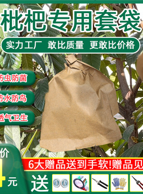 枇杷套袋专用袋芒果纸袋防水防鸟虫育果袋枇杷芒果袋果树水果套袋