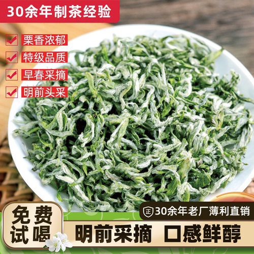 蒙顶甘露绿茶2026新茶叶特级头采全嫩芽明前高山茶四川雅安散茶叶