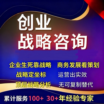 创业战略咨询新店创业全程指导电商创业规划创业指导商业计划书