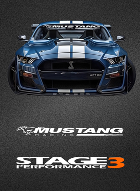 车永佳 适用于STAGE3福特野马前档风玻璃遮阳贴纸赛车改装压头纸