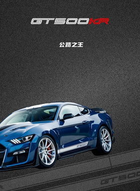 车永佳 福特野马mustang gt500KR公路之王车门改装贴纸侧裙拉花