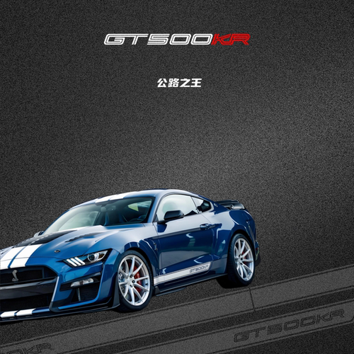 GT500KR公路之王车门侧裙贴纸