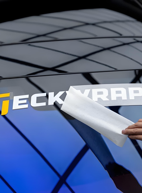 车永佳 秃鹰标识改装贴纸TECKWRAP赞助商车身保险杠装饰拉花