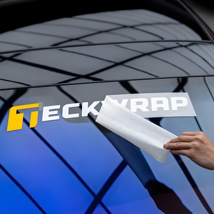 车永佳 秃鹰标识改装贴纸TECKWRAP赞助商车身保险杠装饰拉花