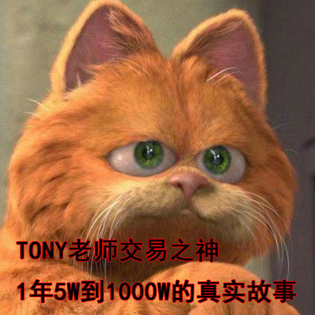 李法师tony交易备忘录比特皇阿马午饭投资大魔王群期货理念电子版