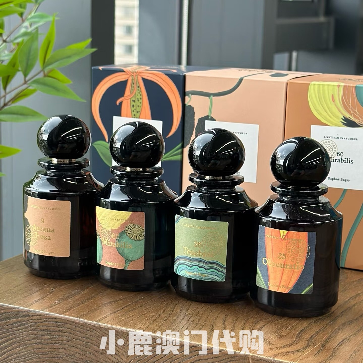 澳门代购｜阿蒂仙之香植物秘境系列 神秘深渊33熄灯礼拜26EDP75ml