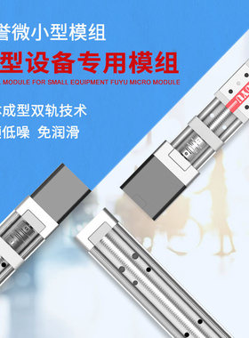 FUYU双轨丝杆滑台微型精密步进电机移动数控直线导轨线性模组滑台