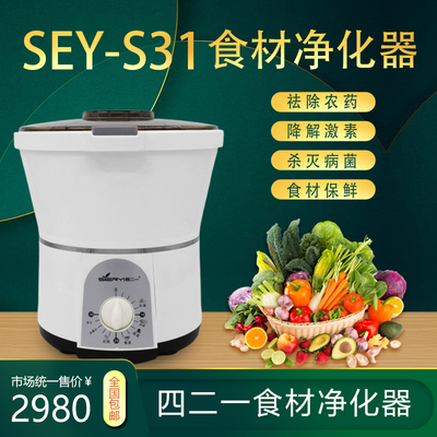 四二一食材净化机SEY-S31型果蔬解毒肉类奶壶碗筷消毒多功能智能