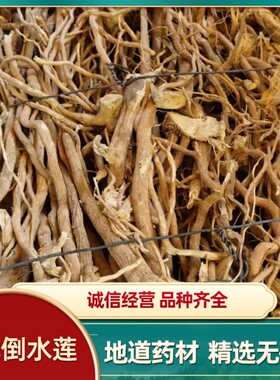 云南中药材  黄花倒水莲  观音串 倒吊王、黄花远志无硫精选包邮