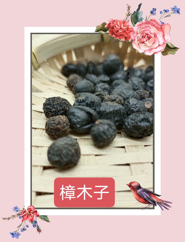 樟树子香樟子大木姜子樟木子樟树籽樟扣樟子樟木籽材500g