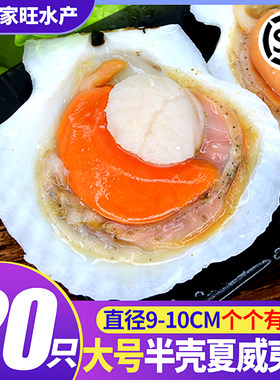 新货！大！半壳！免处理！肥烧烤