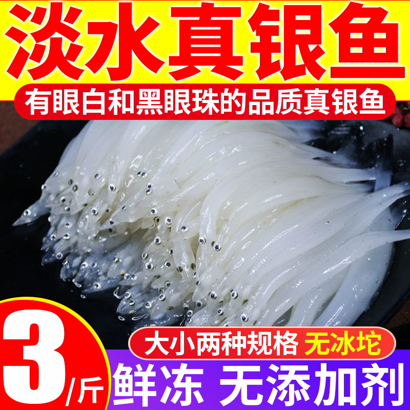 真银鱼！新鲜！淡水鱼！够称！