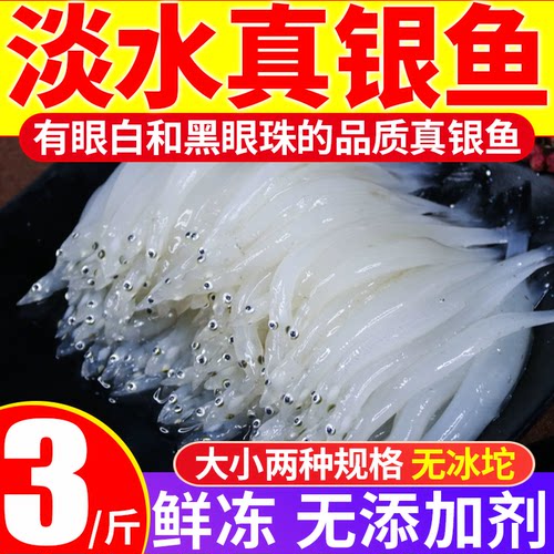 真银鱼！新鲜！淡水鱼！够称！