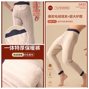 维宾保暖裤男款加绒加厚驼绒2024冬季新款特厚防寒裤打底棉裤男