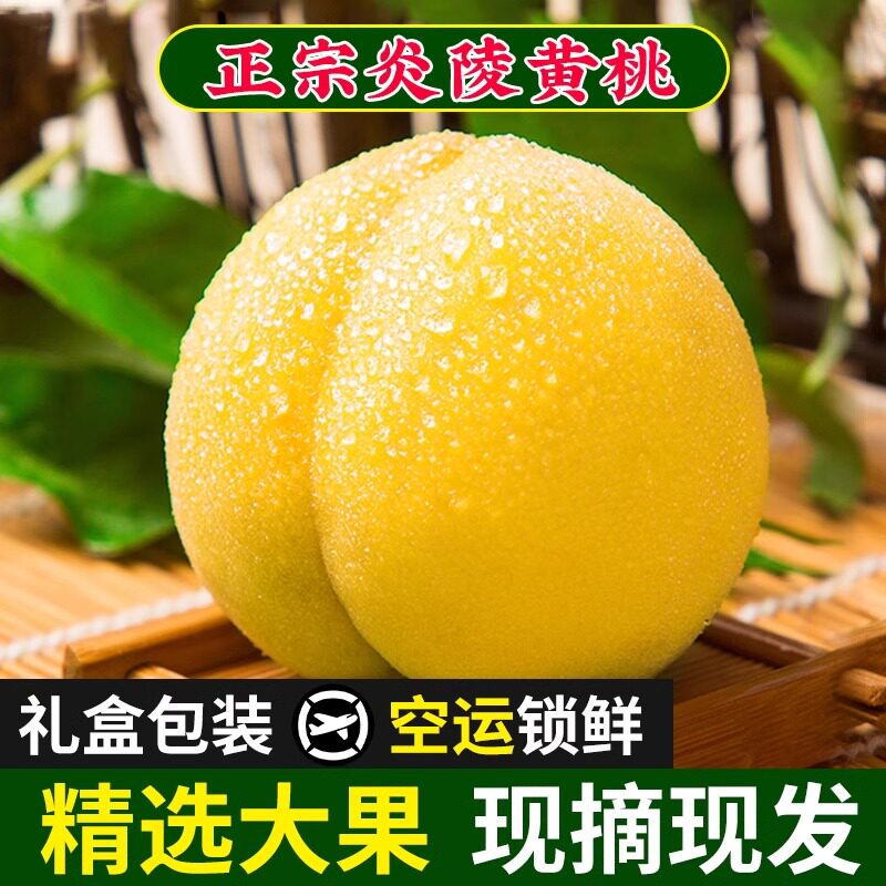 炎陵黄桃湖南炎陵黄桃新鲜水果现摘毛桃子黄毛桃当季孕妇水果礼盒