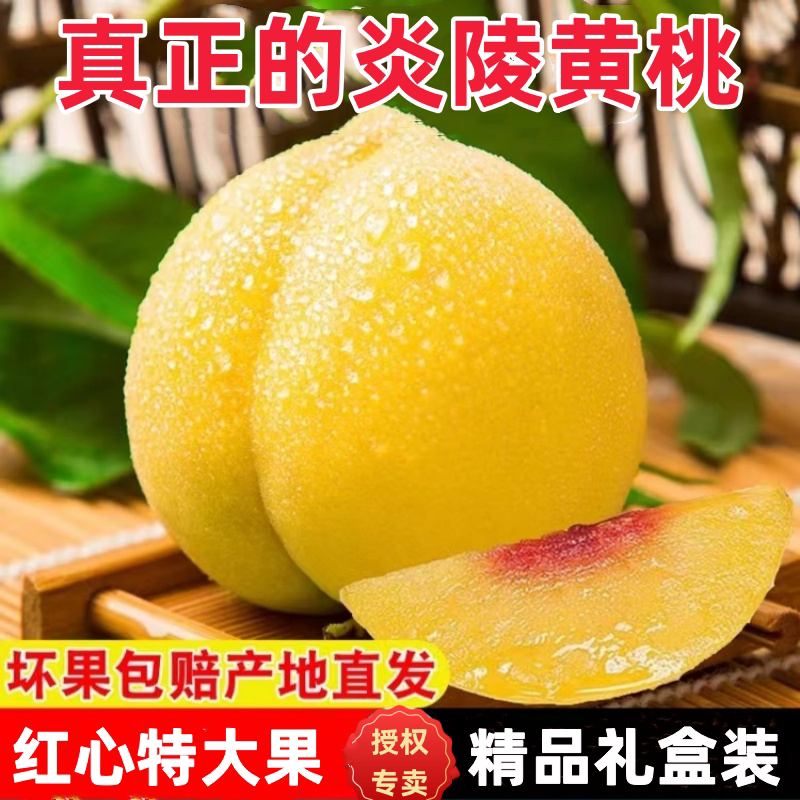 炎陵黄桃正宗湖南炎陵黄桃现摘现发当季孕妇新鲜水果锦绣桃子