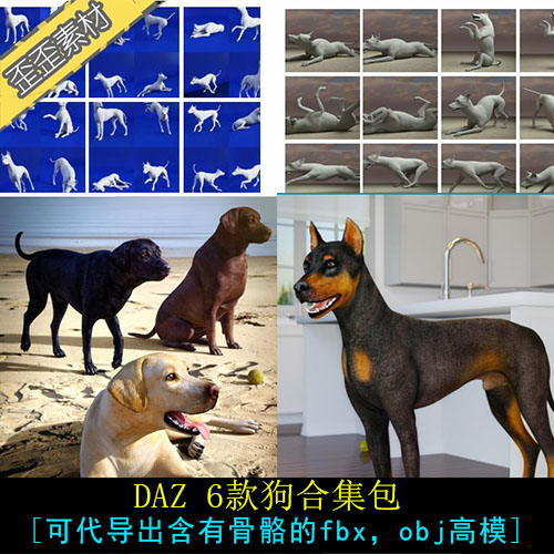 daz狗3D模型金毛拉布拉多猎犬动作互动pose3D模型合集maxMayaC4D-封面