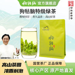 2025新茶江西遂川狗牯脑茶绿茶特级春茶浓香高山200g袋装口粮茶