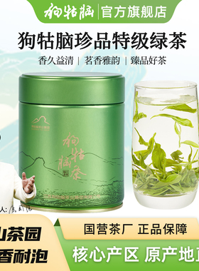 2025新茶正宗遂川狗牯脑茶叶珍品特级绿茶江西高山云雾春茶100g