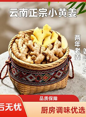正宗云南小黄姜罗平小黄姜