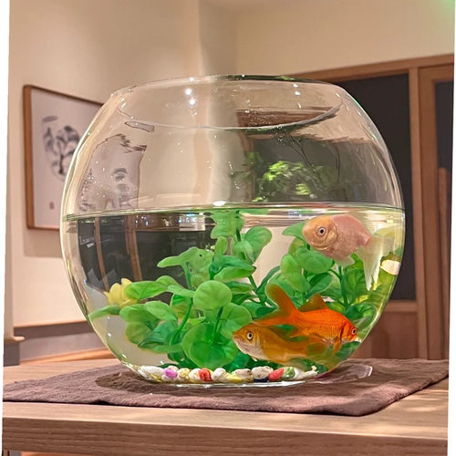 办公室小鱼缸加厚透明玻