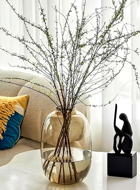 水养鲜枝雪柳专用花瓶高级感适合插干枝窄口小口大肚玻璃水培器皿