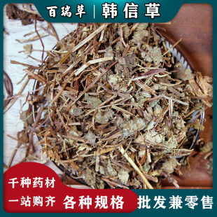 【百瑞草】中药材 韩信草 大力草 耳挖草金茶匙 牙刷草