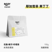 ROEY 100g 埃塞俄比亚耶加雪菲果丁丁水洗处理2025单品手冲咖啡豆