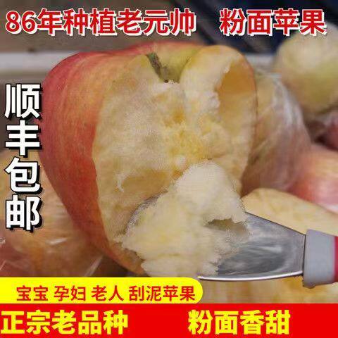 老元帅新鲜粉面沙甜红星苹果宝宝刮泥婴儿老人孕妇水果非蛇果