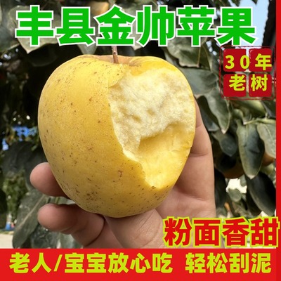 羊肚菌当季新鲜水果黄苹果