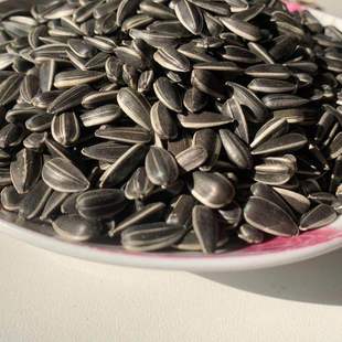 内蒙古生油葵籽黑珍珠小油葵瓜子2021新货散装 包邮 小黑瓜子5斤